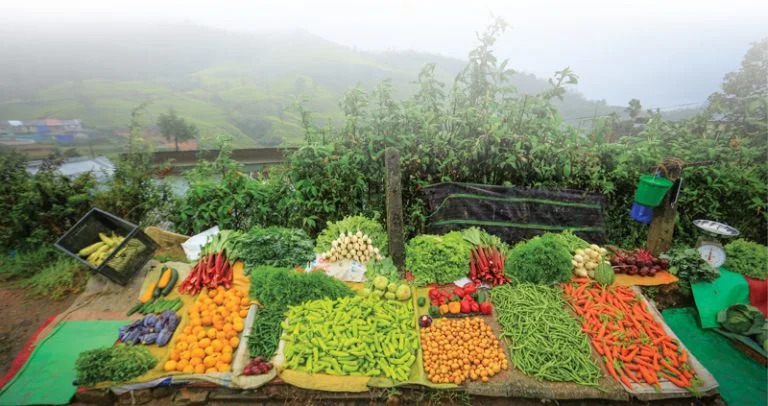 ezgif.com-webp-to-jpg-converter - 2025-12-09T215547.190