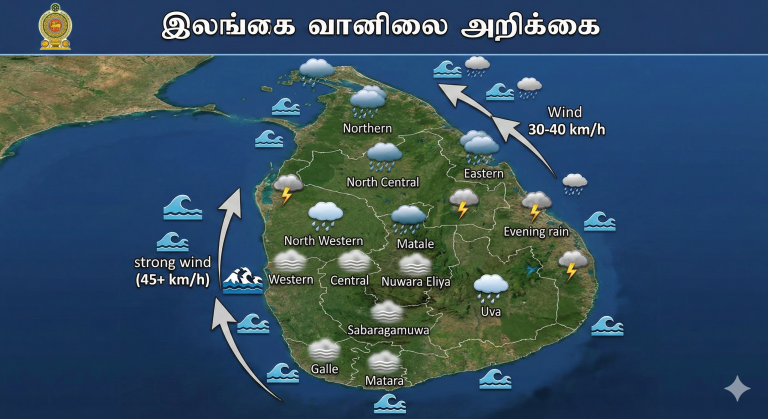 Gemini_Generated_Image_81czqa81czqa81cz